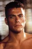 photo Jean-Claude Van Damme